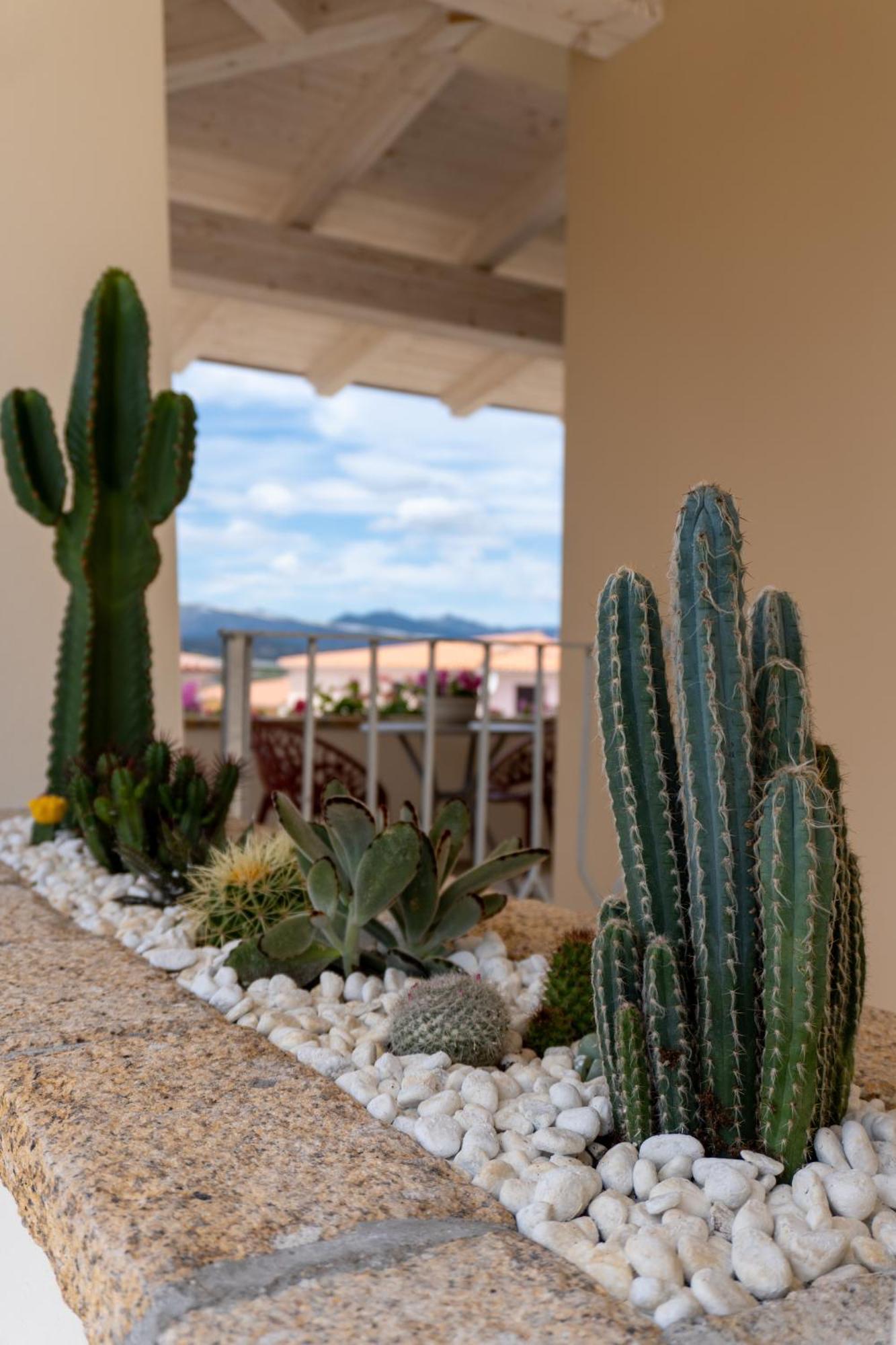 Dicciosu Guest House Budoni Exteriér fotografie